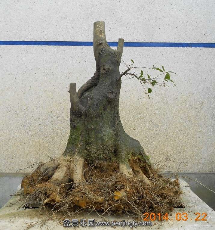 24Ե׮[1].jpg