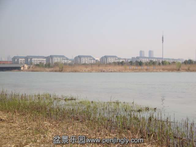 DSC07523.JPG