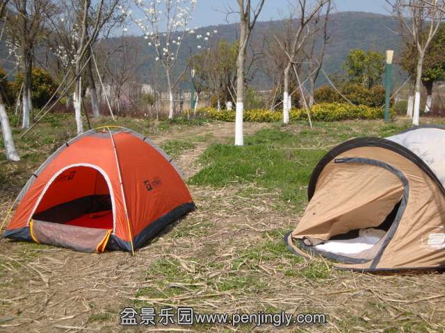 DSC07529.JPG