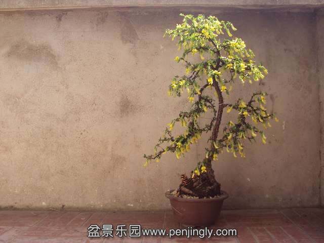 DSC03317.JPG