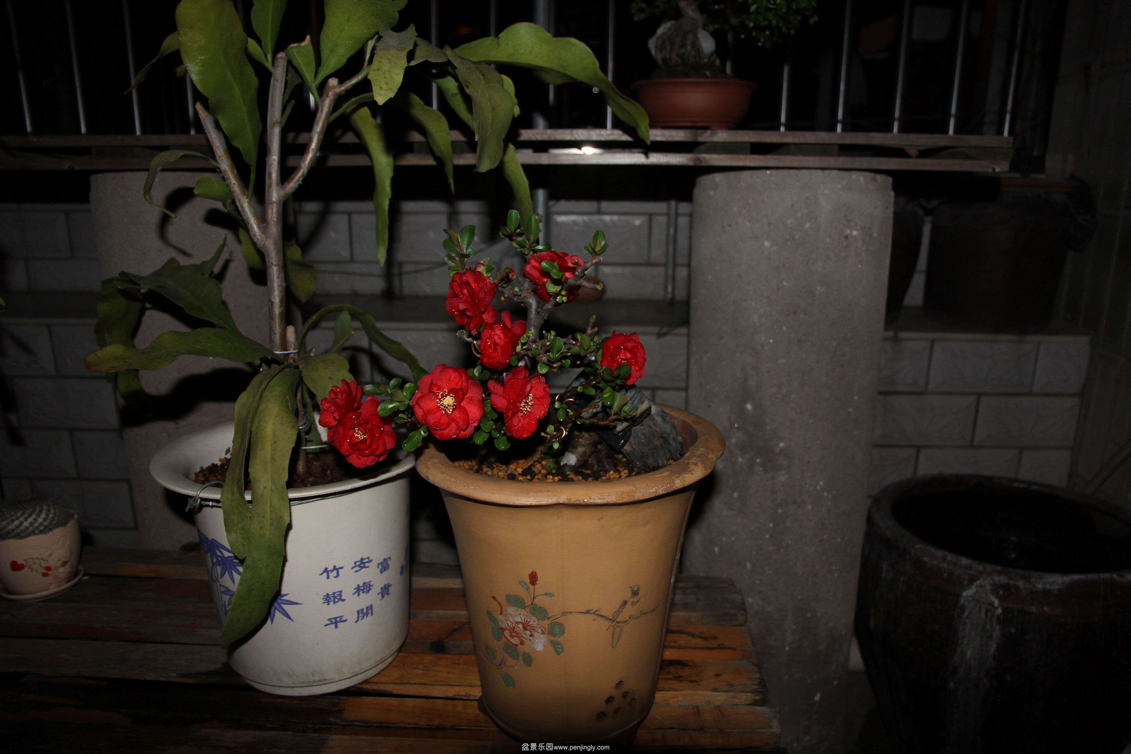 С IMG_7689.JPG