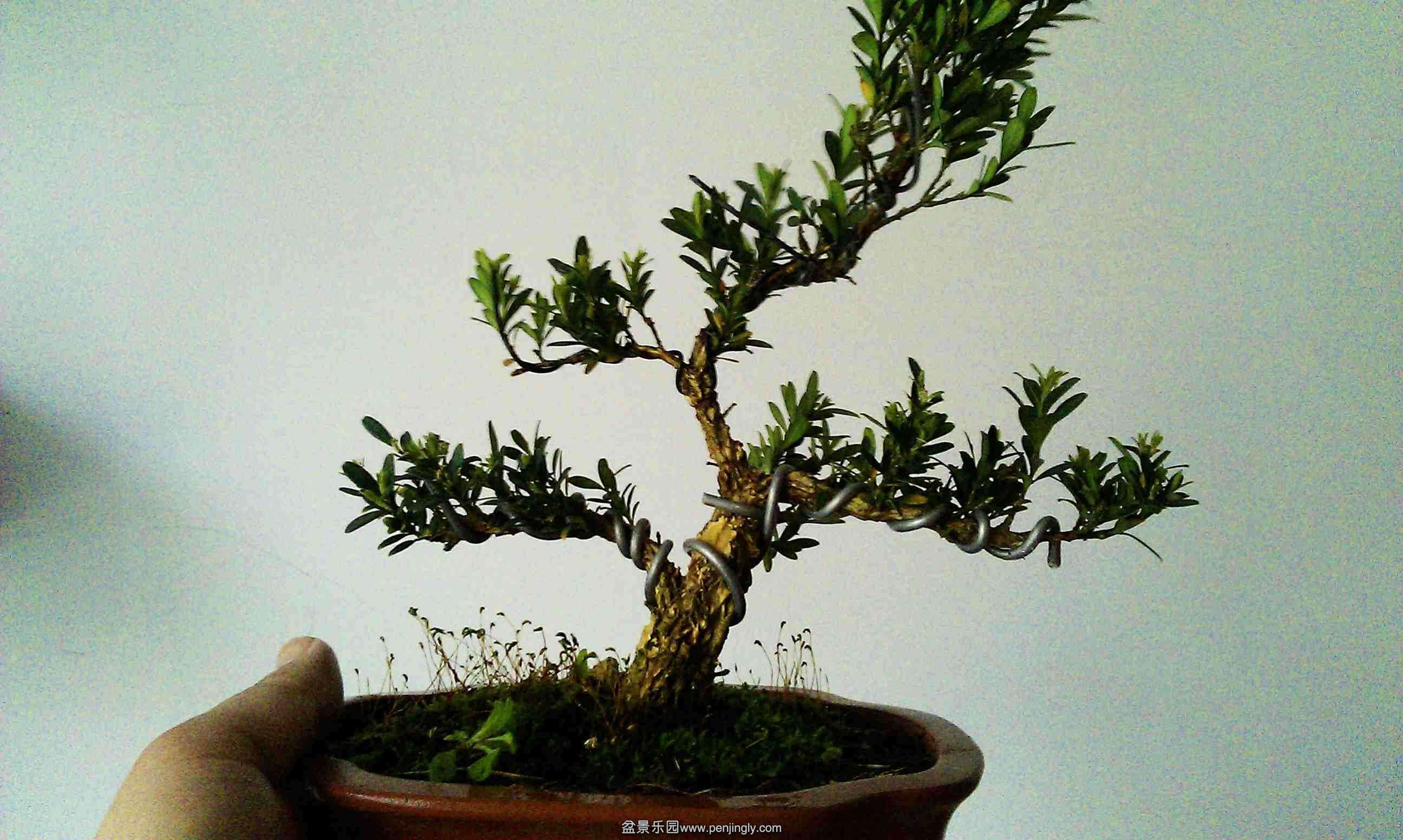 20140323-1.jpg