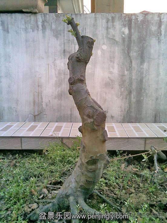 094639xc0c96g8kvrxxvgu.jpg