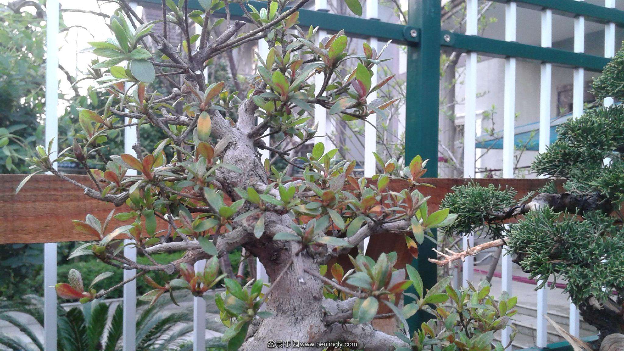 20140325_172416.jpg