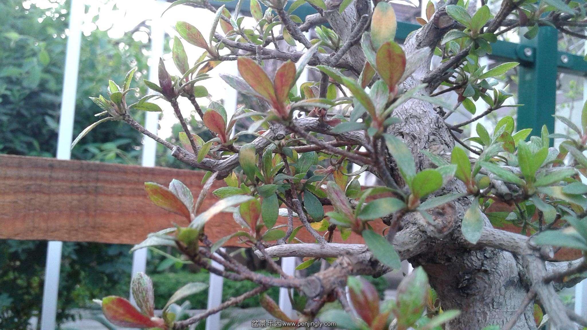 20140325_172427.jpg