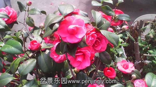 IMG_20140326_141140.jpg
