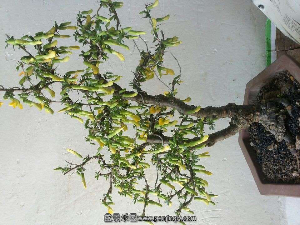 QQͼƬ20140327161535.jpg