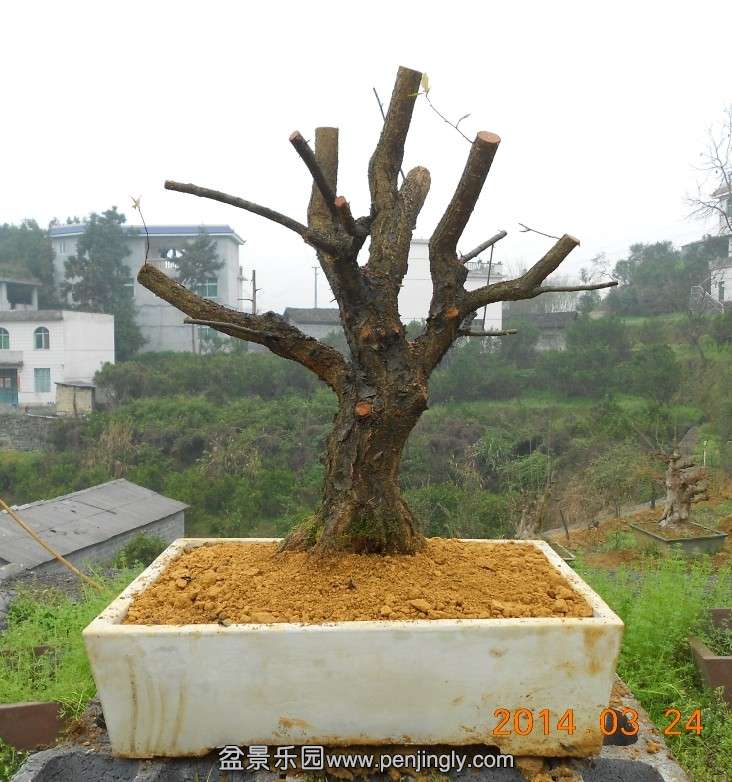 25Ǻ÷׮[5].jpg
