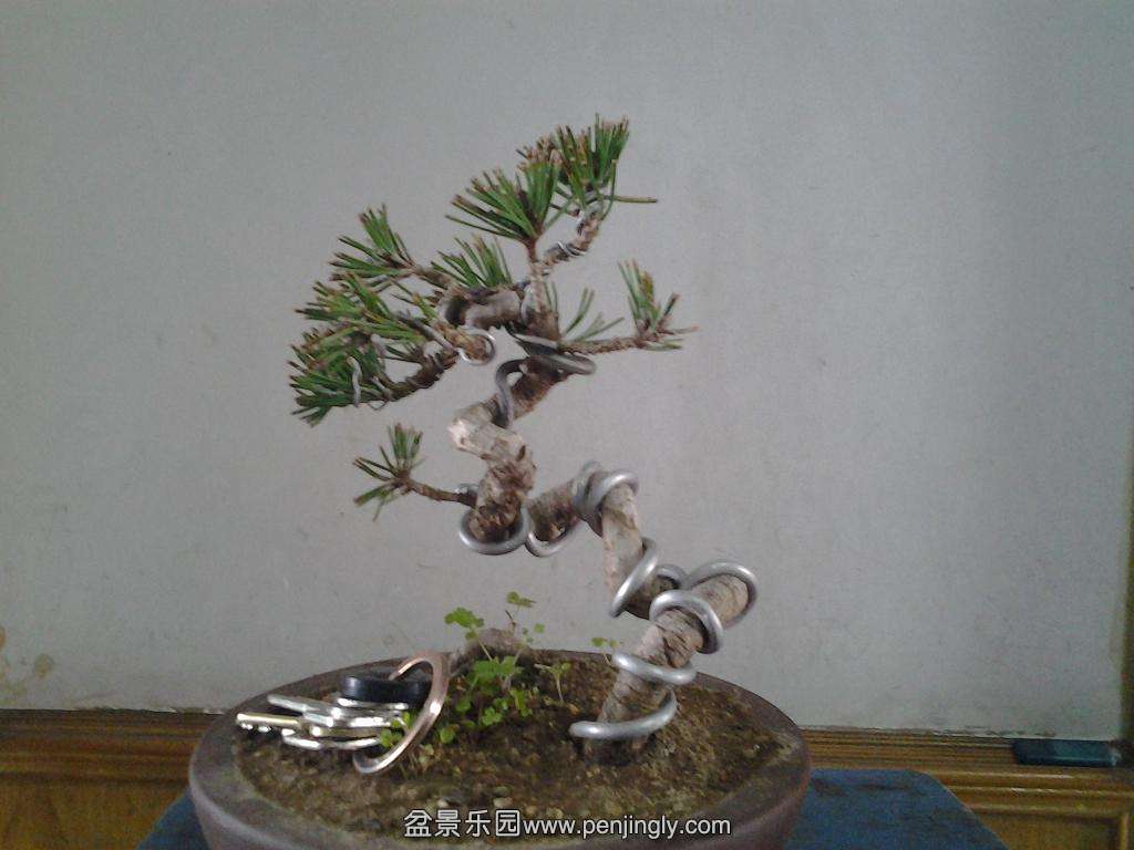 20140304_093956.jpg