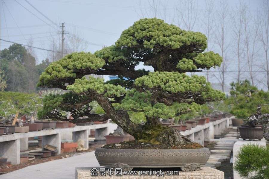 ҵ辰 381.jpg