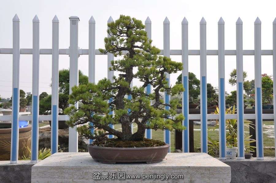 ҵ辰 385.jpg