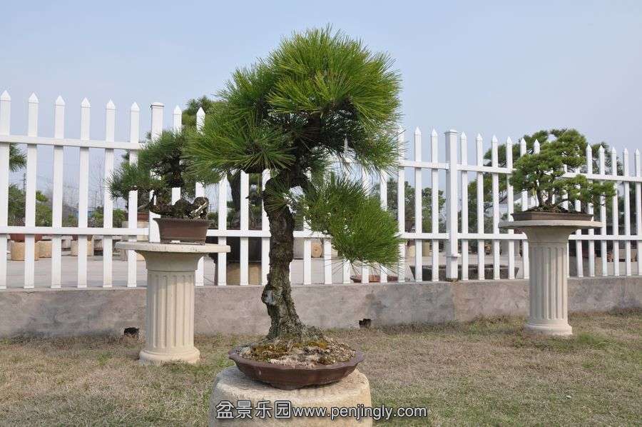 ҵ辰 394.jpg