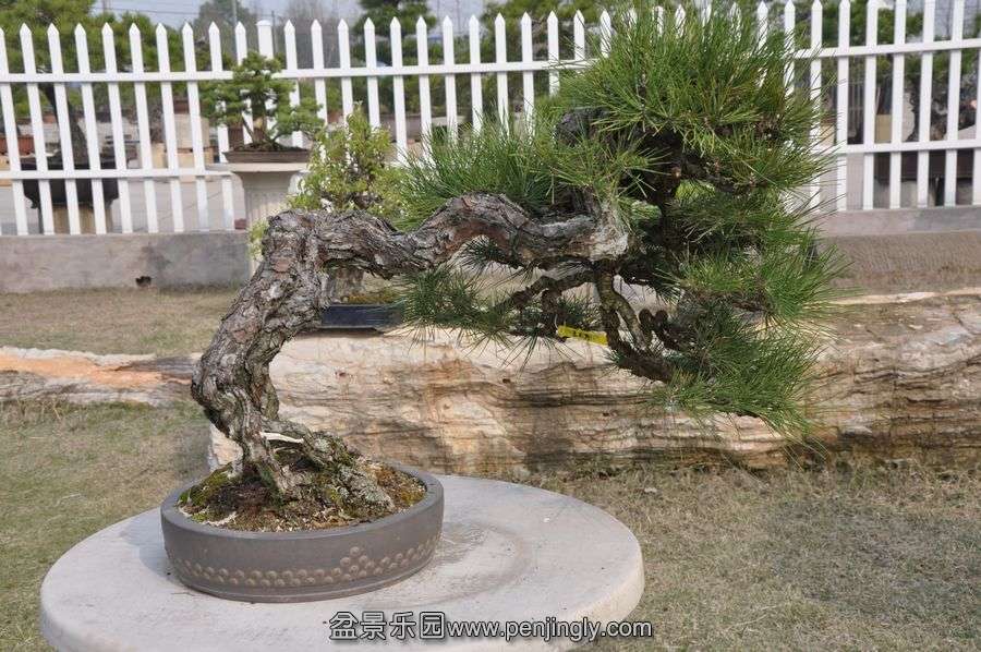 ҵ辰 400.jpg