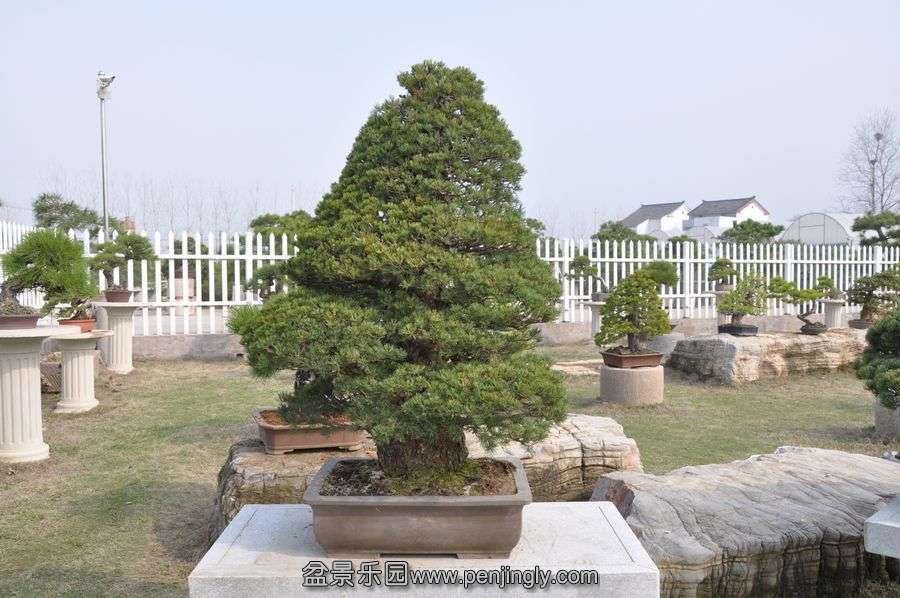 ҵ辰 402.jpg