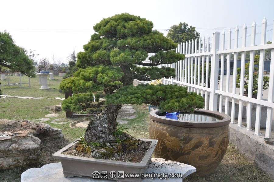 ҵ辰 403.jpg