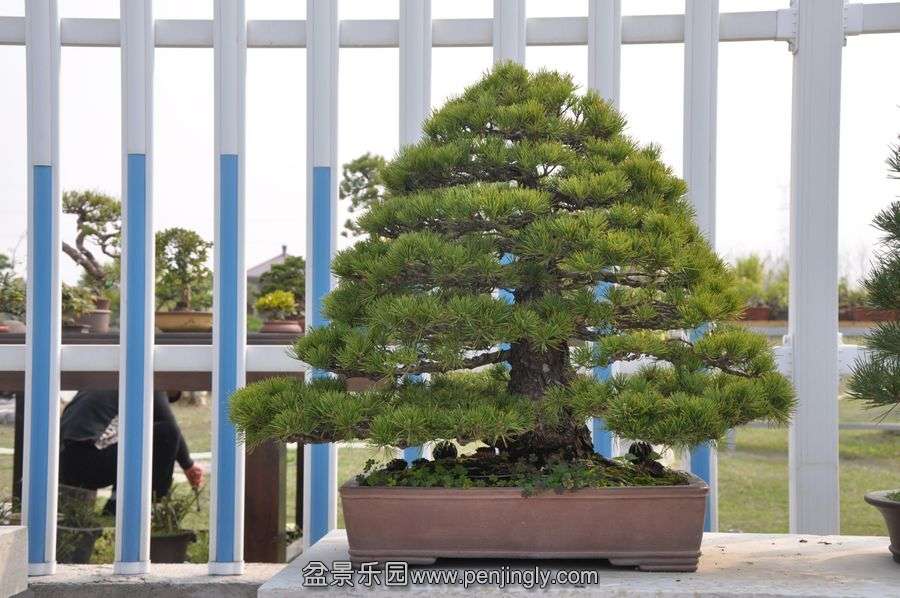 ҵ辰 387.jpg