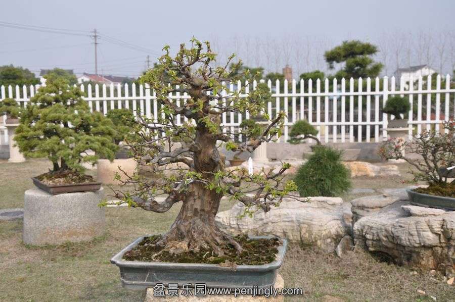 ҵ辰 409.jpg