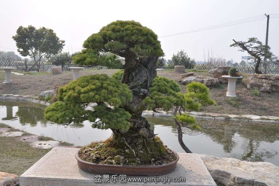 ҵ辰 411.jpg