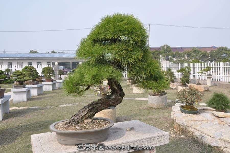ҵ辰 413.jpg