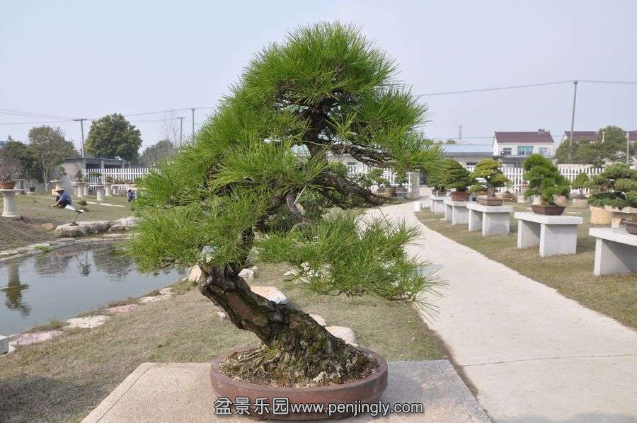 ҵ辰 418.jpg