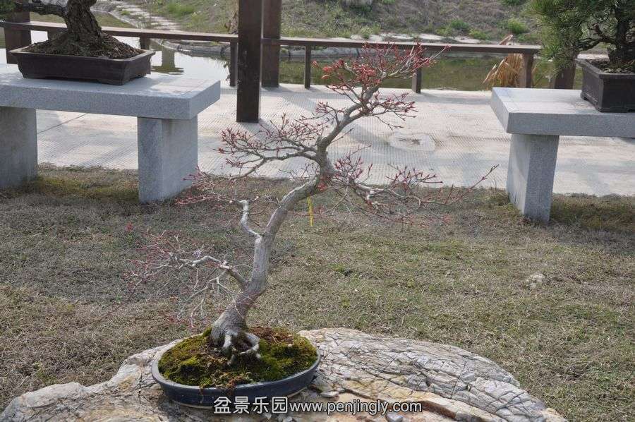 ҵ辰 422.jpg