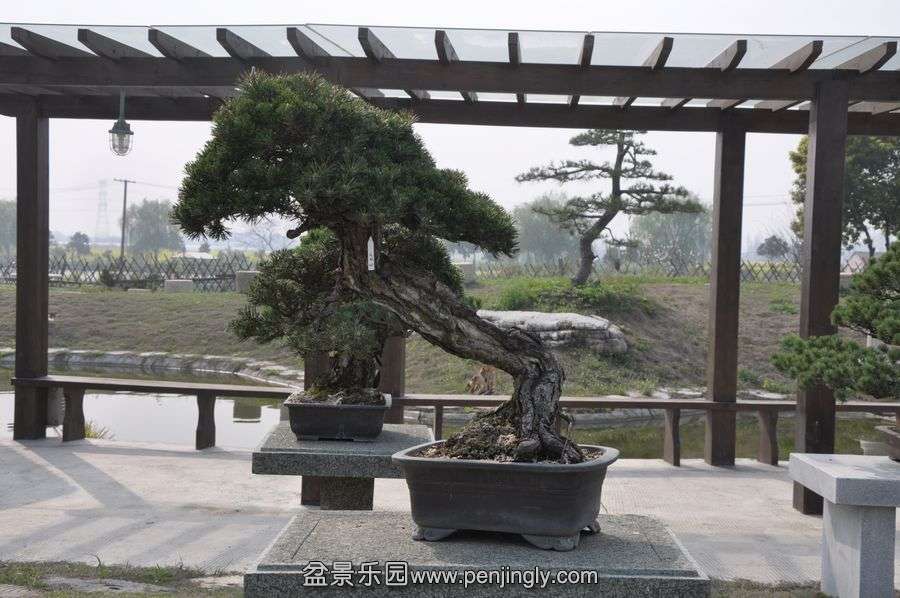 ҵ辰 424.jpg