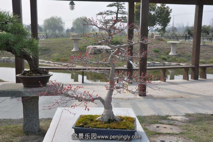 ҵ辰 426.jpg