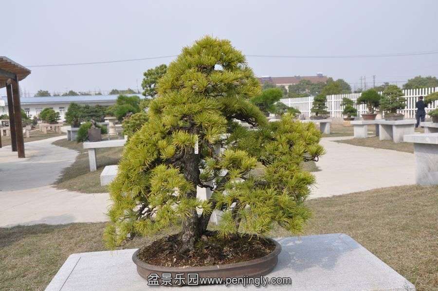 ҵ辰 429.jpg