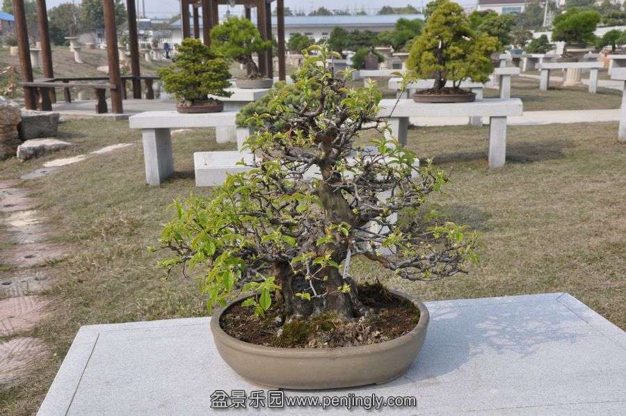 ҵ辰 430.jpg