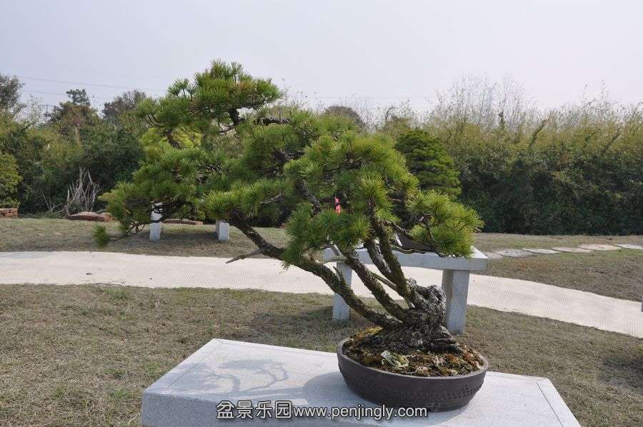 ҵ辰 431.jpg
