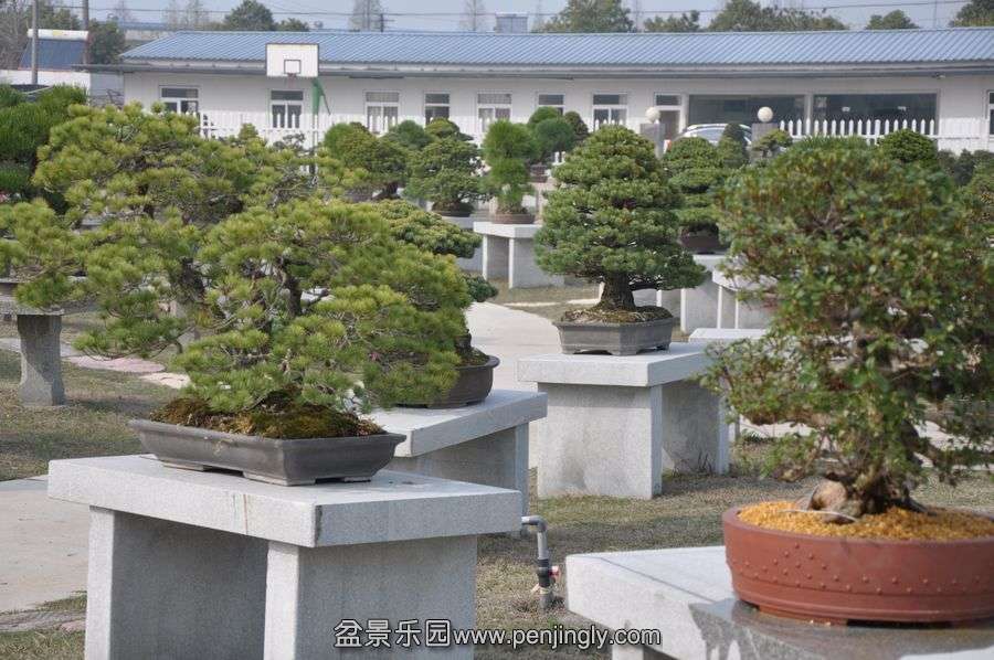 ҵ辰 432.jpg
