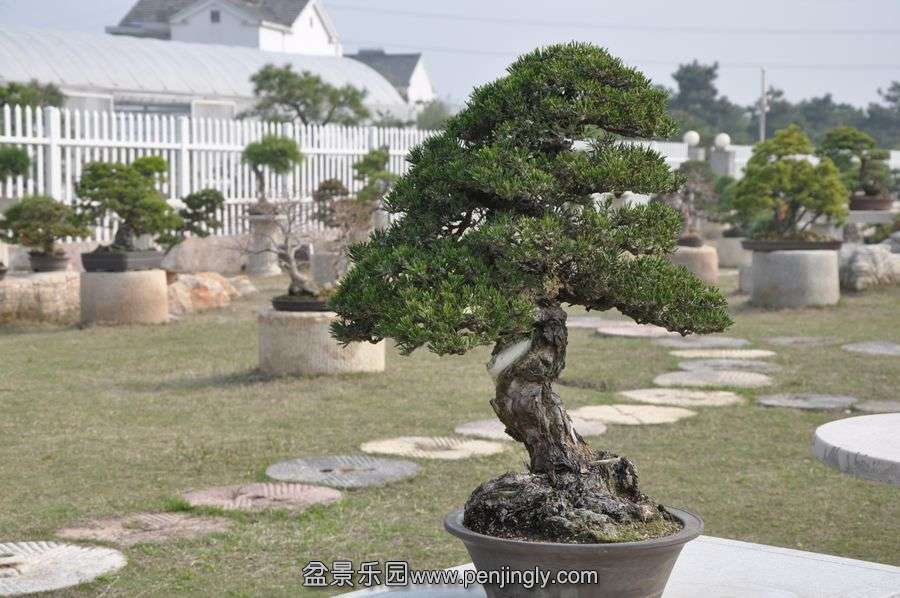 ҵ辰 443.jpg