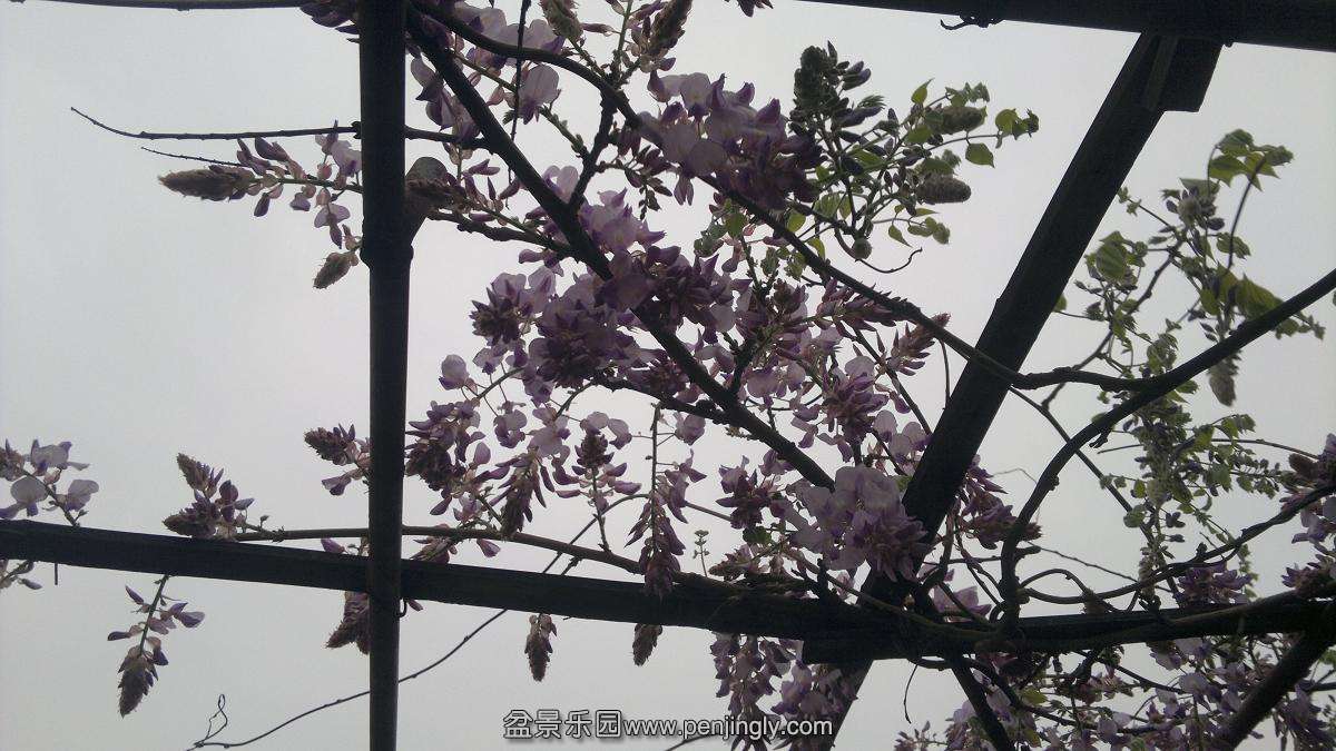 2014-03-30-268.JPG