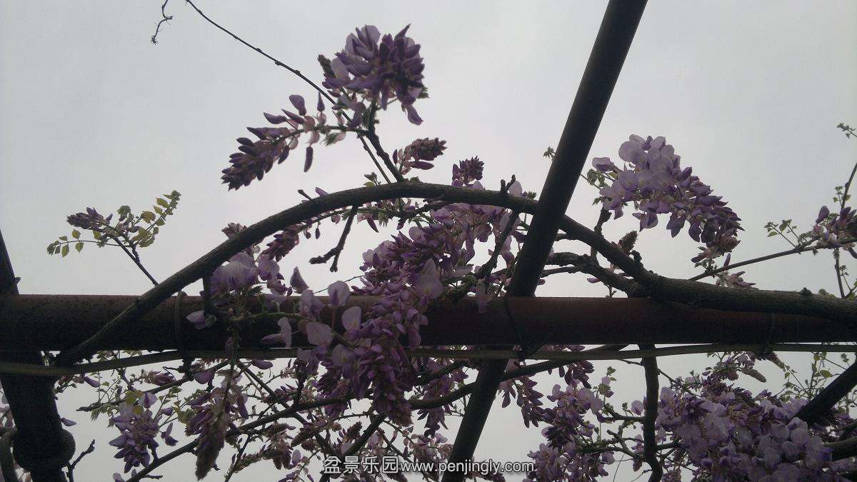 2014-03-30-273.JPG
