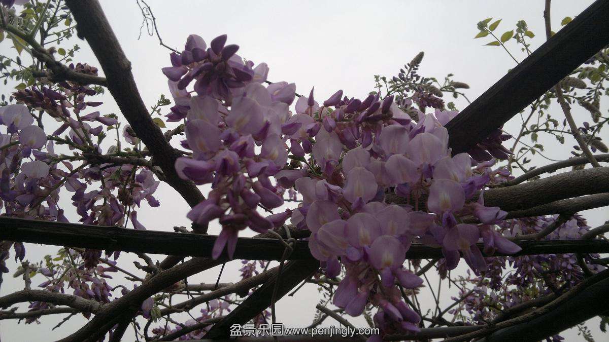 2014-03-30-274.JPG