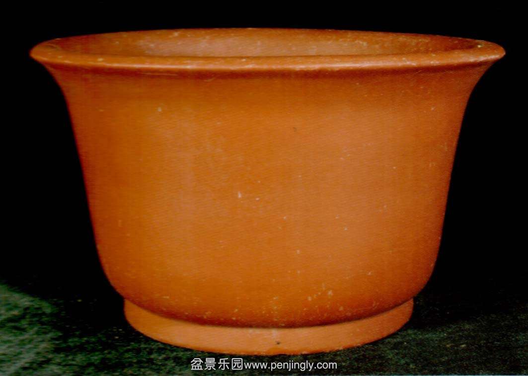 [ںԲ.jpg