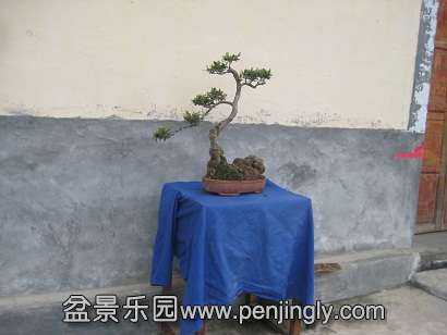 IMG_3454.JPG