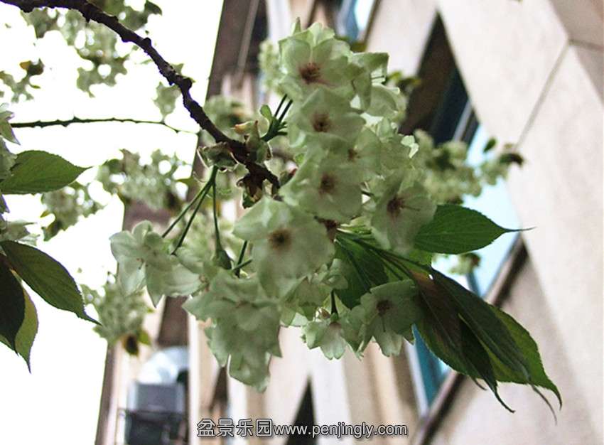 DSCF4779_.jpg