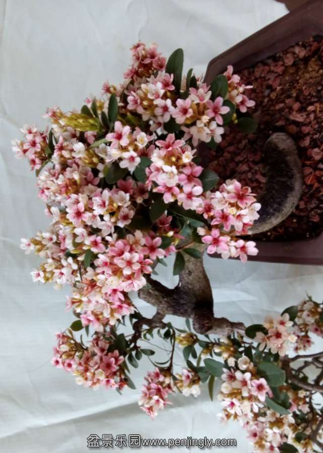 pt2014_04_01_18_24_41.jpg