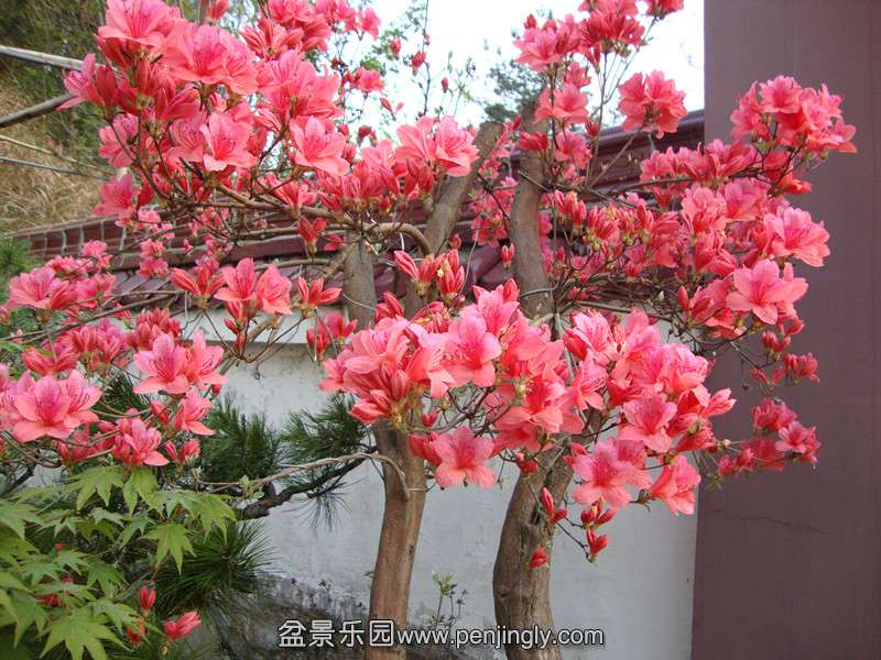 DSC01032_.jpg