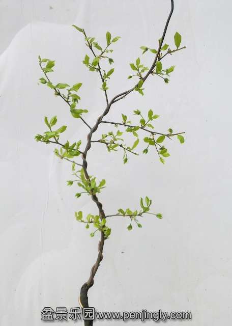 201404022375.jpg