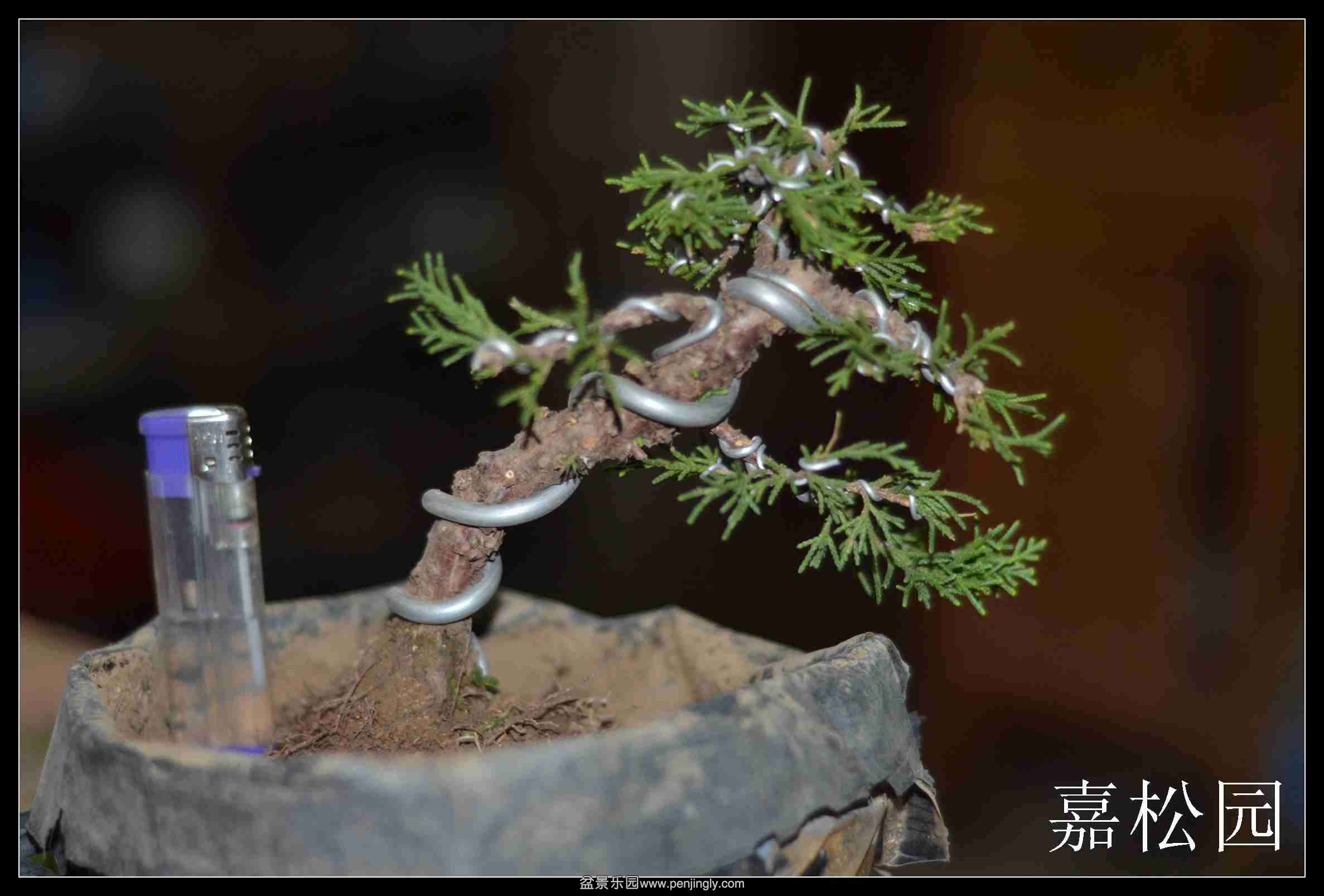 2014-04-03΢ 002.jpg