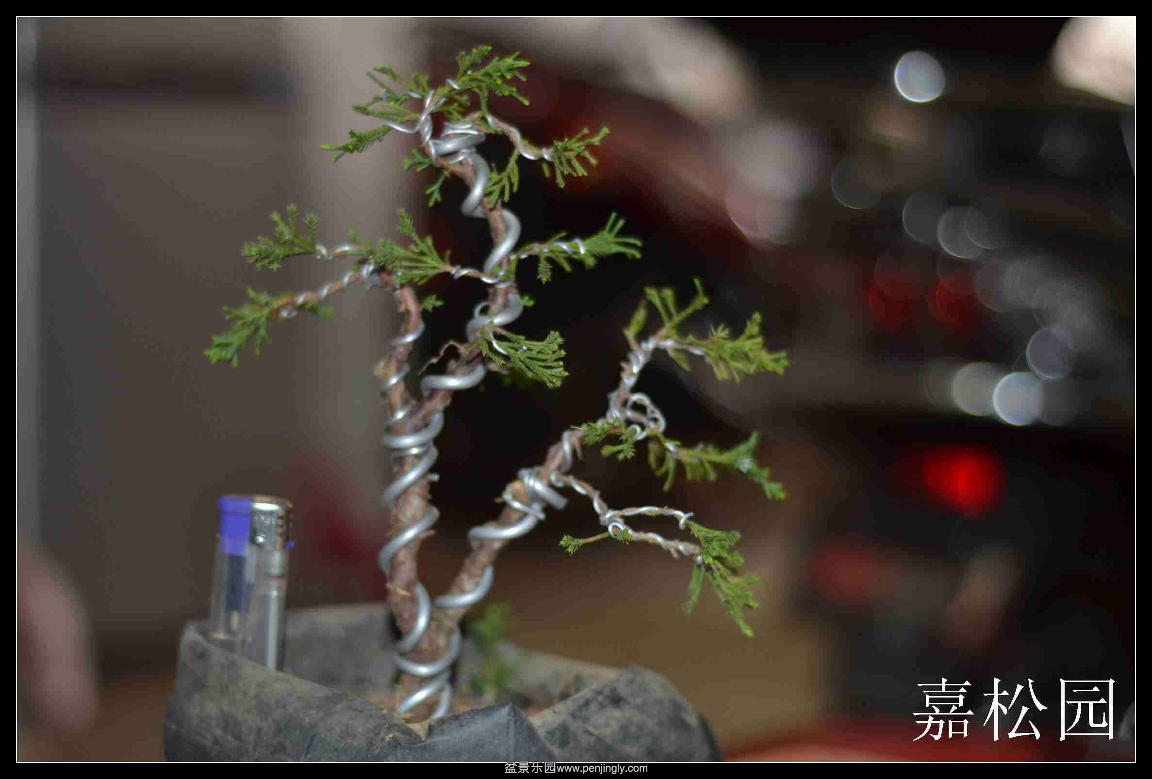2014-04-03΢ 012.jpg