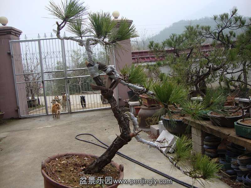 DSC01894_.jpg