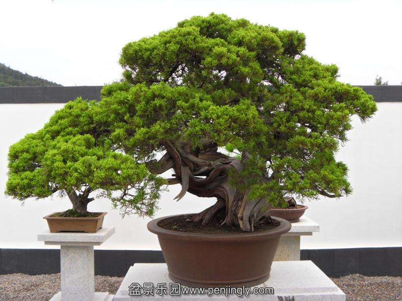 SDC12990.JPG