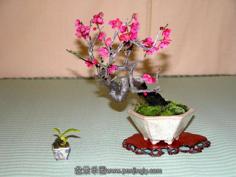 DSCN5042.jpg