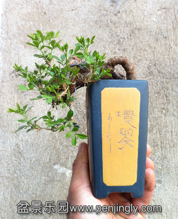 QQͼ20140404161308.png