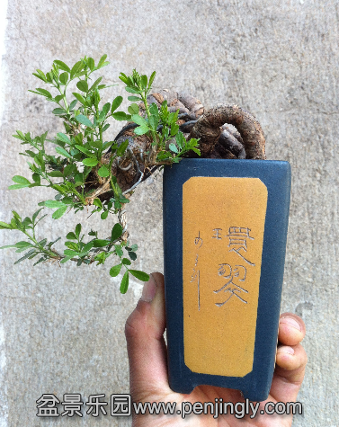 QQͼ20140404161329.png