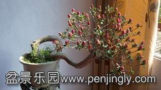 IMG_20140404_093507.jpg
