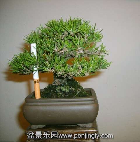 QQͼƬ20130930214034.jpg